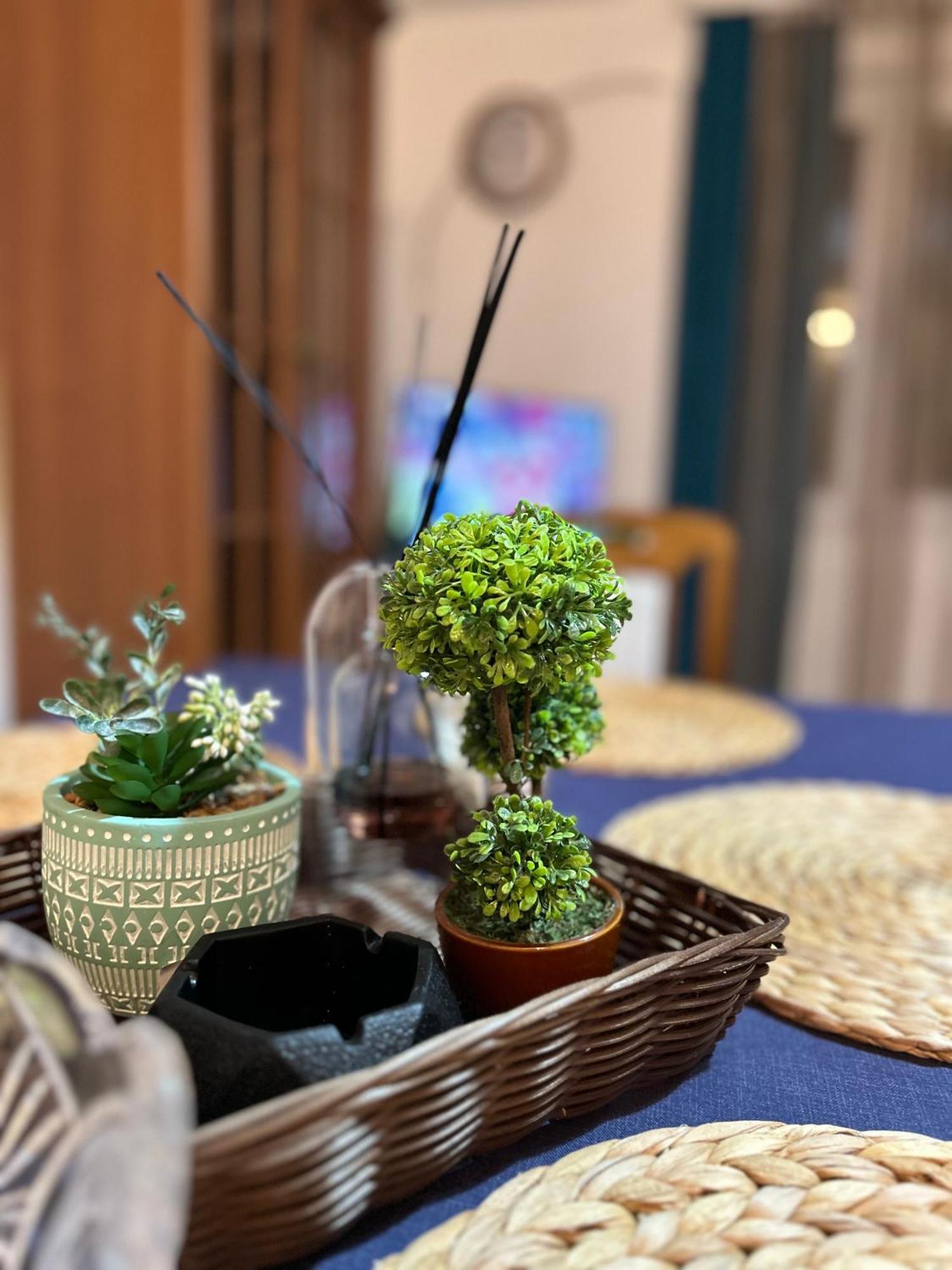 Blue Shell Apartments Котор Экстерьер фото